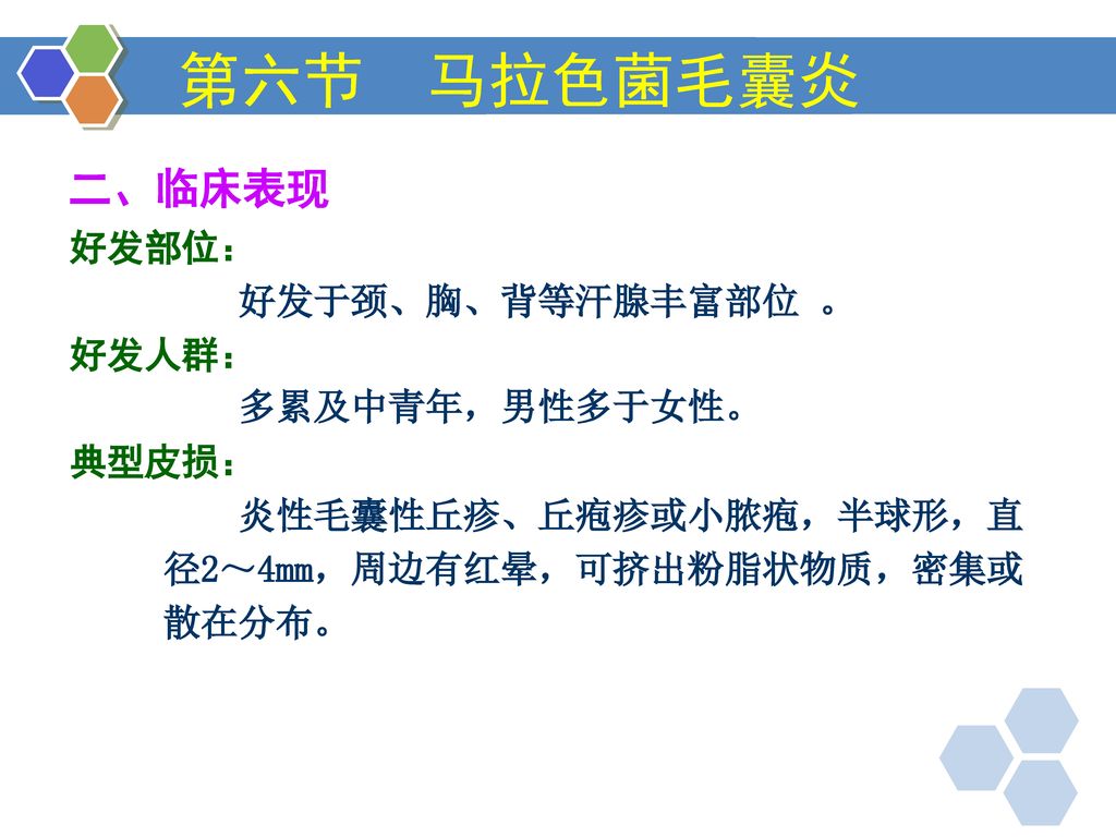 第六节 马拉色菌毛囊炎 一,病因 糠秕或球形马拉色菌.